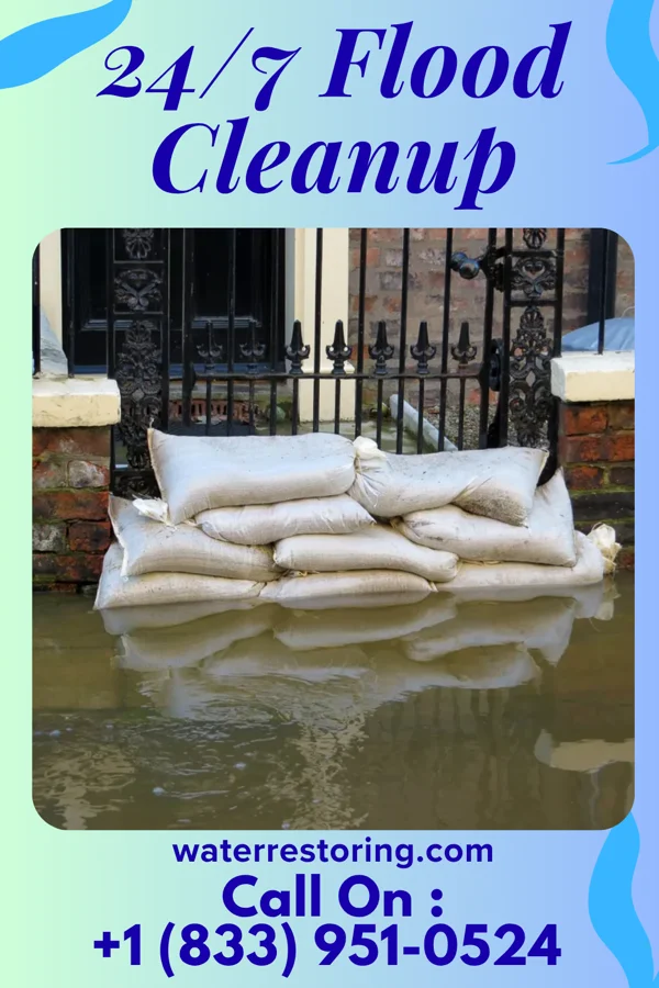24/7 Flood Cleanup in Williamston, MI