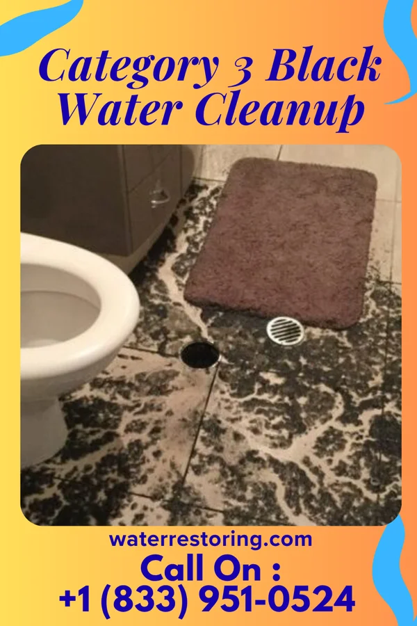 Category 3 Black Water Cleanup in Williamston, MI